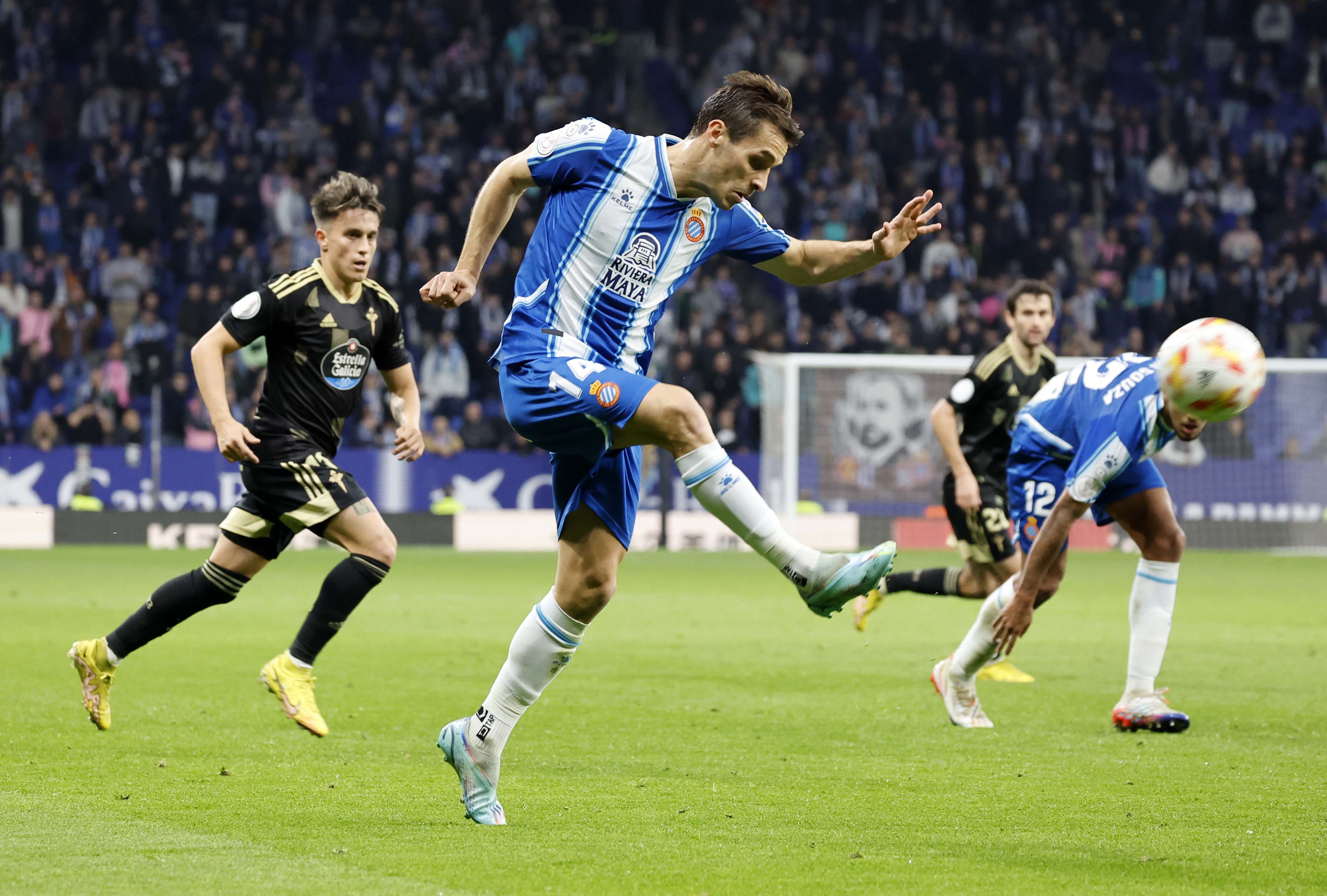 冲刺阶段国王杯传出新动向，明尼苏达森林狼再遭质疑，管理层表态：话题不断，临场指挥获称赞(国王vs森林狼第一节腾讯网视频)